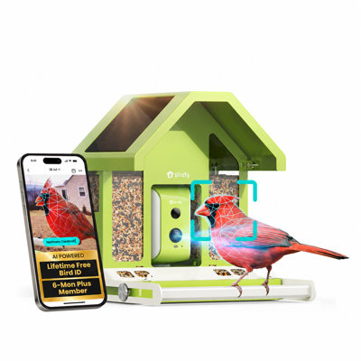 Mangeoire d'oiseaux intelligente en métal Birdfy