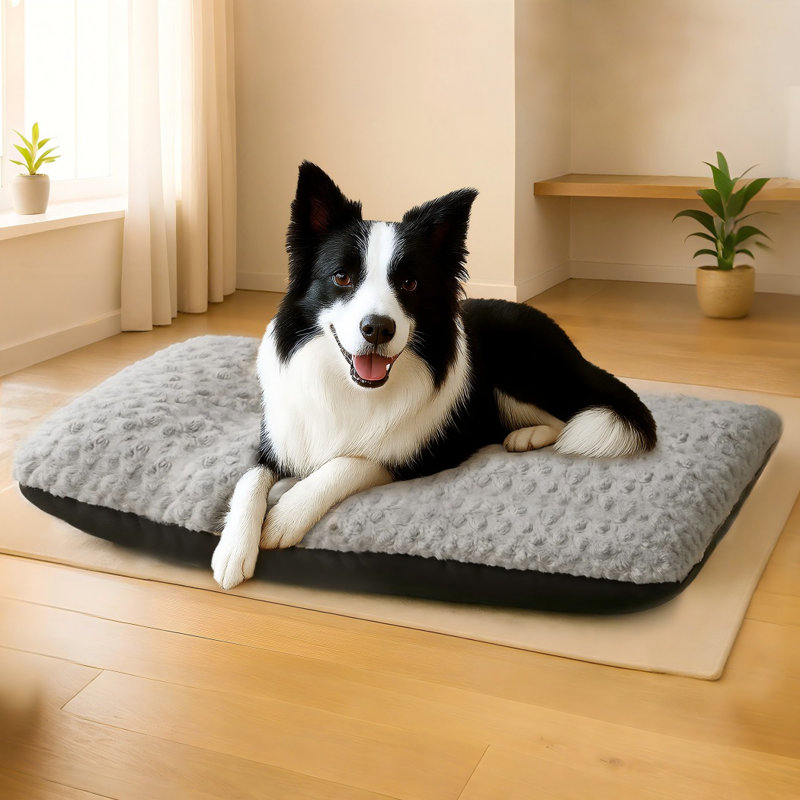 Orthopedic Polyester Pet Bed, 21cm H x 21cm W x 60cm D