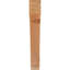 Attelle impériale du genou-31229279-29309856-31229305