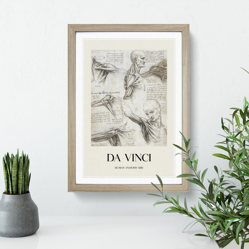 Human Anatomy Vol.3 by Leonardo Da Vinci - Picture Frame Drawing, Oak Framed, 36cm H x 27cm W x 2cm D