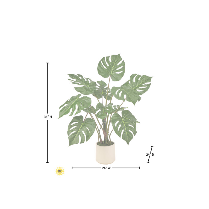 Plante UV 3 'en pot Monstera, 36 in x 24 in