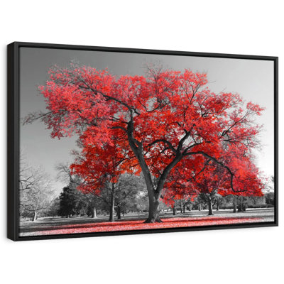 Arbre rouge floral et botanique