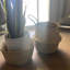 Panier de ruppie maritime-1370609682