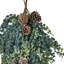 Ornement de Noël 35 po Saphire Cypress