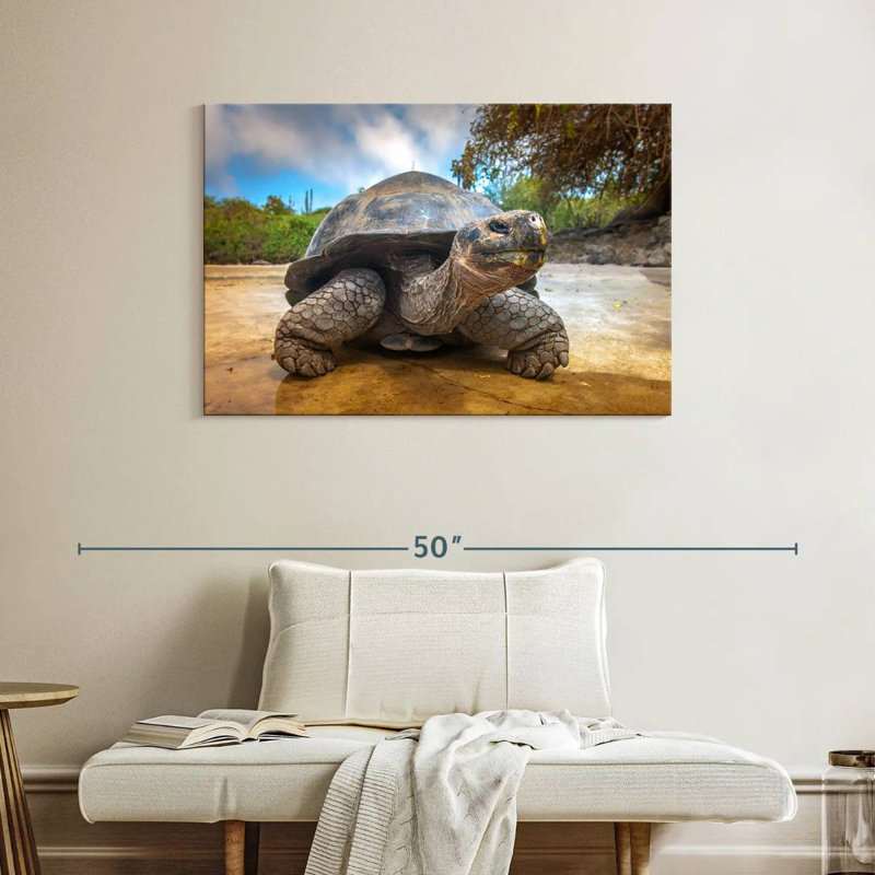 Galapagos Beach Tortoise, 26" H x 39" W