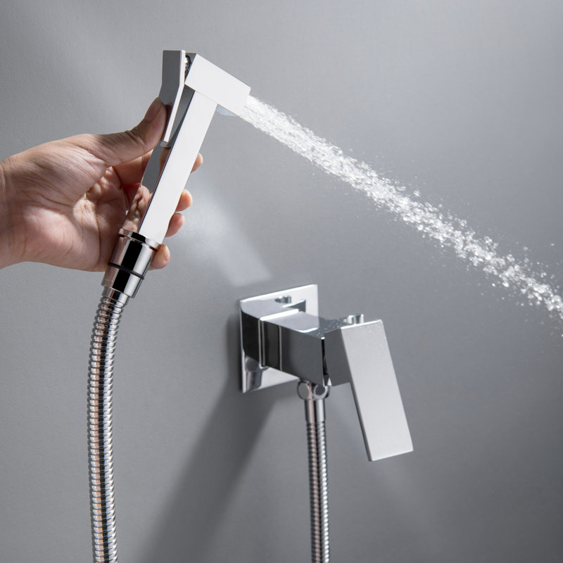 Stainless Steel Hand Held Bidet, Chrome Polish