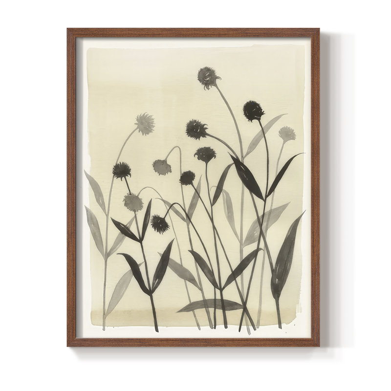 Summer Echinachea II, reproduction encadrée - bois massif, H 21 po x l 17 po, Noyer