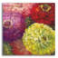 «Zinnia Gala I» par Carol Rowan-1559085451