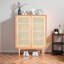 Rangement pratique pour chaussures-1386391307