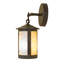 Rustic Lodge 1 - Light Armed Sconce