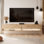 Chanton TV Stand