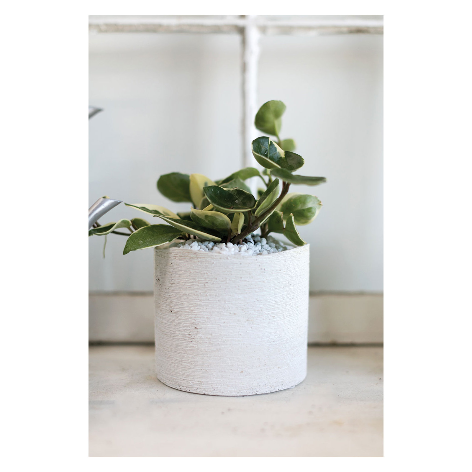 Handmade Ceramic Pot Planter, 5" H x 5.7" W x 5.7" D