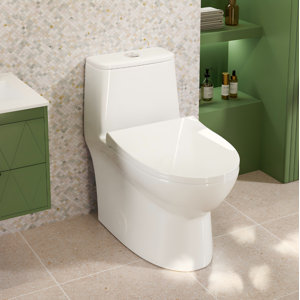 One Piece Compact Toilets for Bathroom, 1.6 GPF Dual Flush, Soft Close Seat Cover, 12" Rough-In
