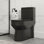 Toilette compacte une pièce à double chasse avec double chasse, modèle Liberty