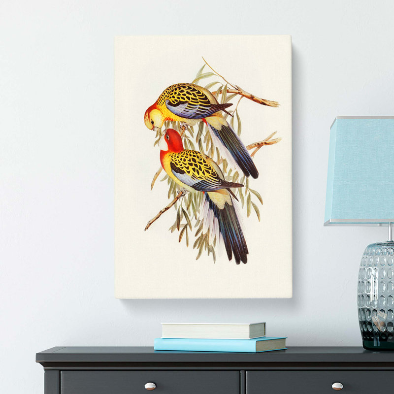 Splendid Parakeets by Elizabeth Gould - Wrapped Canvas, 50cm H x 35cm W x 3cm D