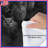 Group Of Owls Comforter-123586541