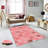Stylish Woven Carpet, 5.6 x 7.5 Feet, 100% Polyester, 0.3 in Pile Height | Antibacterial, Non-Slip PVC Felt Dot Underside, Machine Washable | 3D Digital Printing, Durable & Easy to Maintain - Perfect for Any Room-777107570