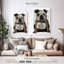 Bouledogue Brampt-108364613