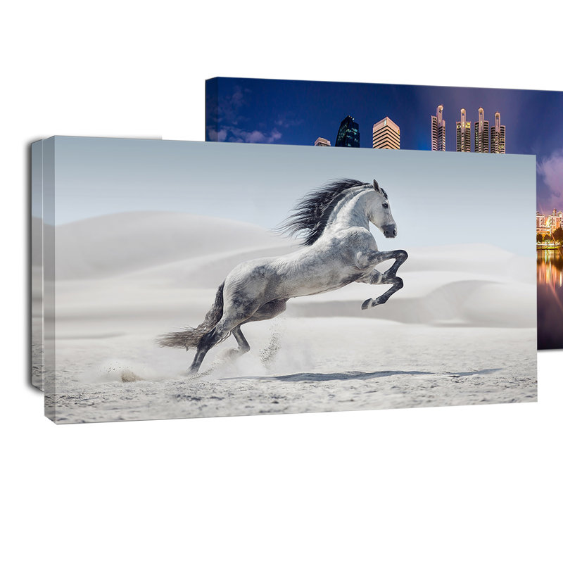 Photographie d'un cheval blanc au galop, H 16 po x l 32 po x P 1 po, Toile tendue