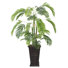 Pot en pierre 26,8 po
