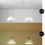 Luminaire suspendu pour îlot de cuisine à 2 lumières pour îlots de cuisine, salles à manger, salons et bureaux-1960579974