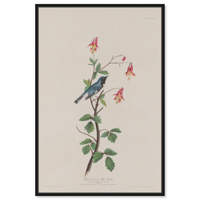 Art Remedy Botanical Prints Canvas, Blue Warbler 1832