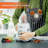 Geepas 1.50ml Blender Food Processor Combo