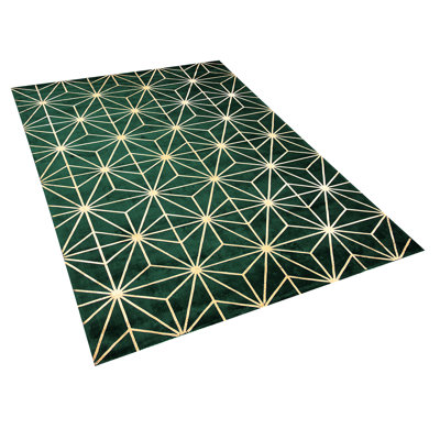 Monette Geometric Hand Woven Area Rug