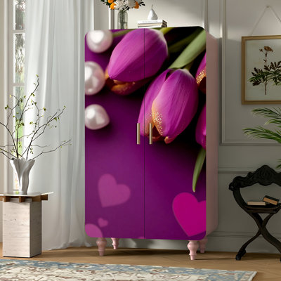 Aestheticism household double door French wardrobe