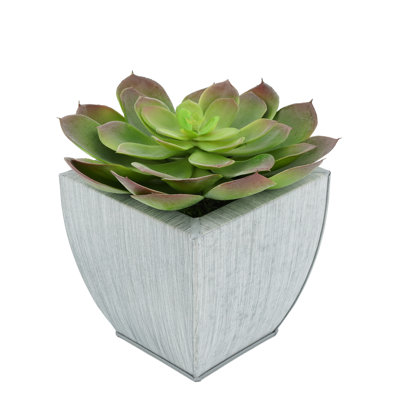 Succulent artificiel 2" en pot