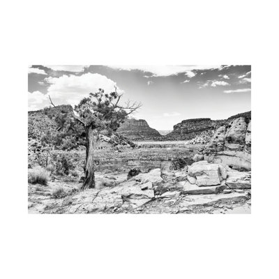 Black Arizona Series - Far In The Valley - Wrapped Canvas Print