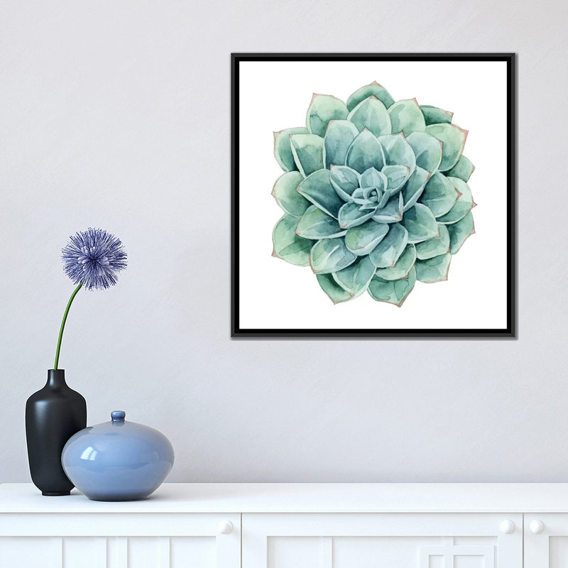 « succulent nuanciers i », impression sur toile, H 18 po x l 18 po x P 1,5 po, Toile encadrée noire, Pas de tapis