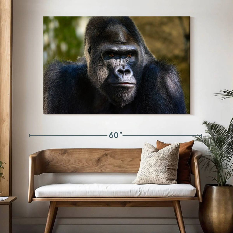 Mountain Gorilla, 34" H x 51" W