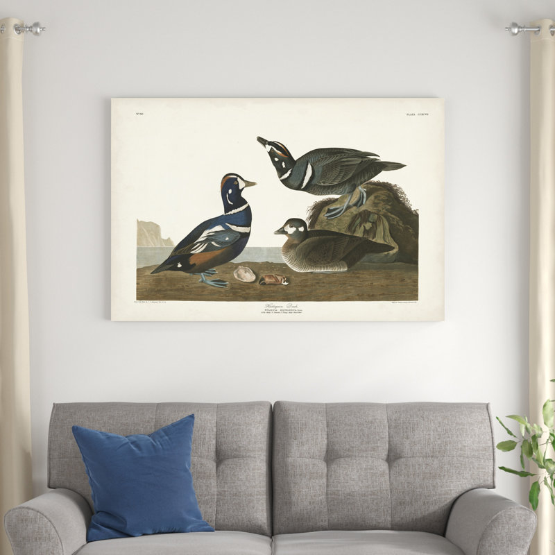 Pl 297 canard arlequin, H 32 po x l 48 po