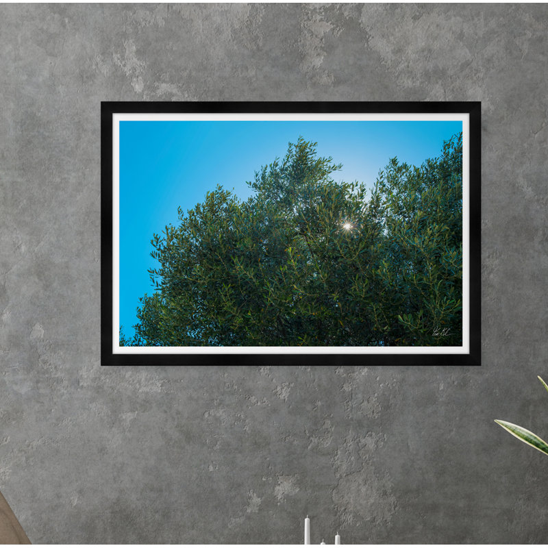 Olive Sun - photographie avec cadre photo