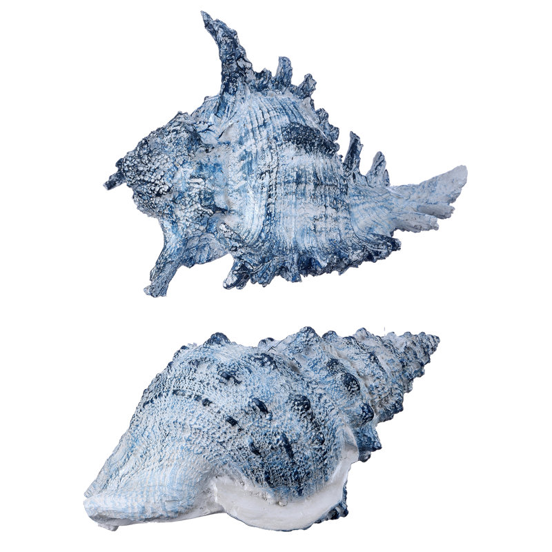 Coquille en résine 7,5 po Avdulah