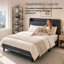 Upholstered Bed-1003577014