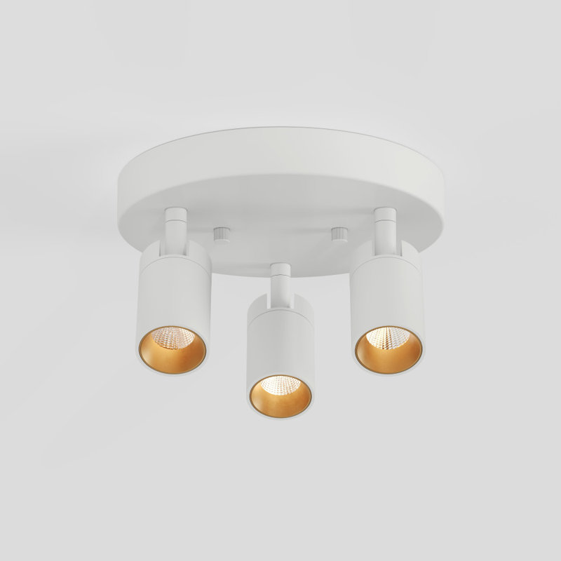  Plafonnier rond blanc à 3 lumières Shura avec têtes rotatives, ampoules à DEL intégrées, pavillon encastré, 3000 K, Blanc