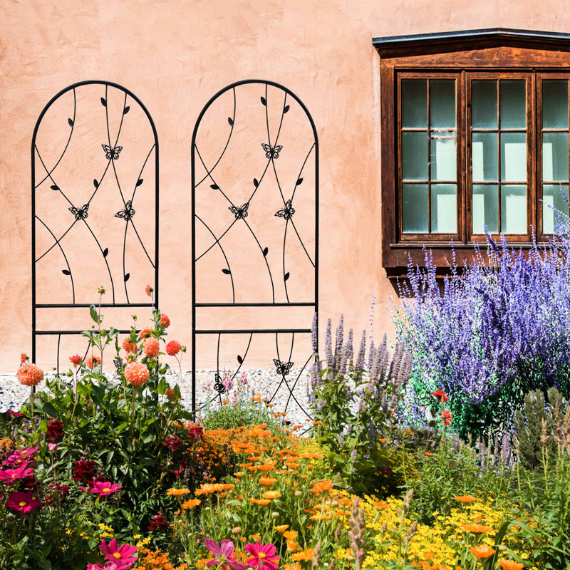 Paquet de 2 treillis de jardin en métal 71 po x 19,7 po antirouille pour l'extérieur pour plantes grimpantes, noir, facile à assembler, matériau, supports lierre, vignes, roses, gloire du matin, jasmin, raisin, concombre, haricots, pois