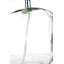 Mila Glass Table Lamp-112253444