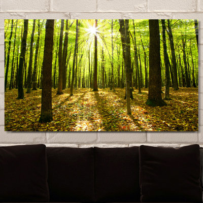 « storeed "par the light », reproduction de photo sur toile tendue