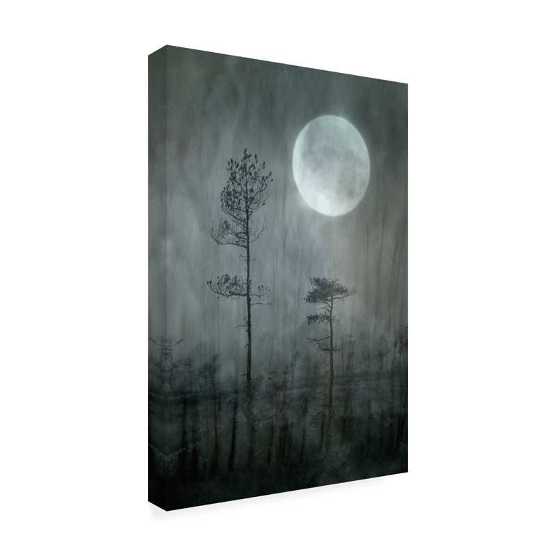 Art mural sur toile tendue - "Under the Moon" de Christina Sillen pour décoration de salon, de chambre à coucher ou de bureau - 12 x 19 pouces - 12 x 19