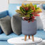 Ribbed Cylinder Planter with Feet-1753896807-1753896811