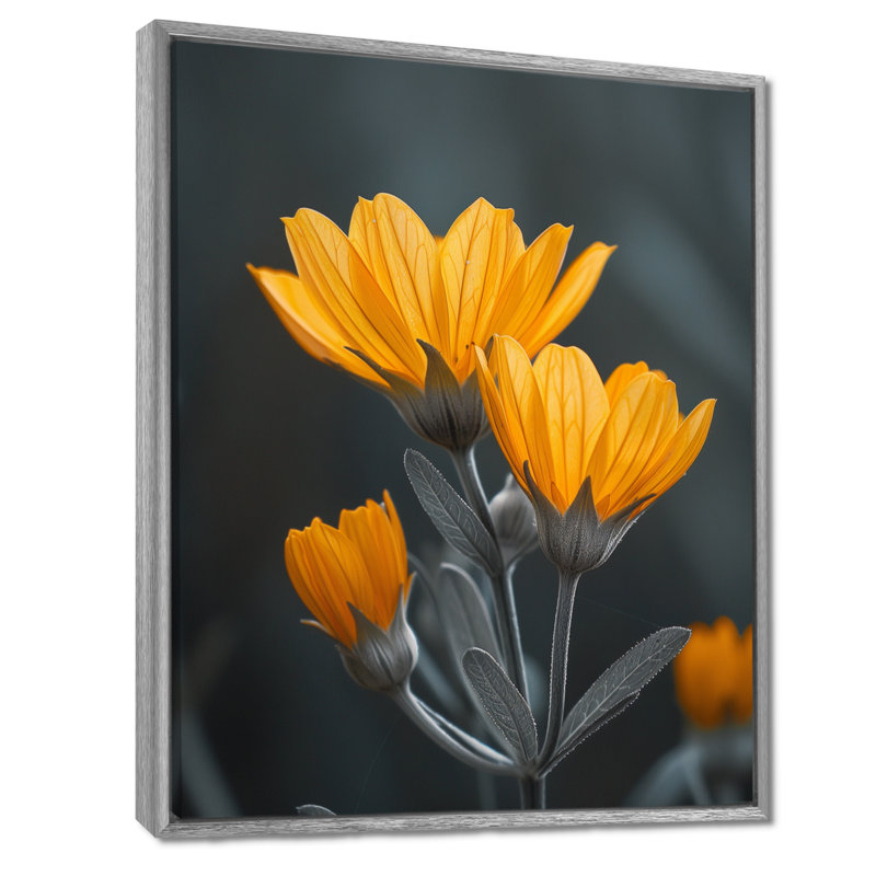 Monochromes jaunes, gris, bleuet, Grace I - bleuet, impression d'art mural, Cadre flottant argent, H 24 po x l 32 po