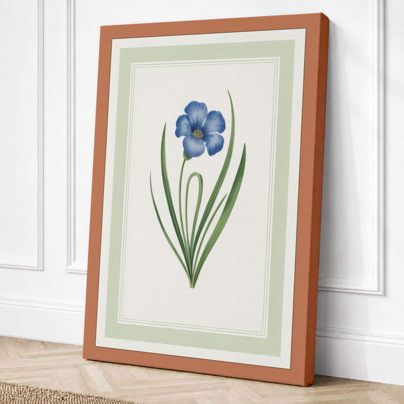 Blue Flower Study Botanical - Wrapped Canvas, 24x16 - 61.0 x 40.6 cm, Terracotta Border