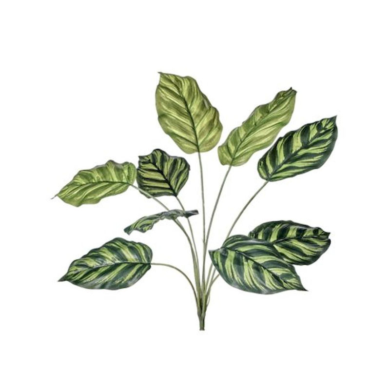 16'' Faux Maranta Plant