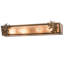 Rustic Lodge 4 - Light Bath Bar