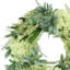 26" Grapevine Wreath With Hydrangea, Fern And Lamb's Ear