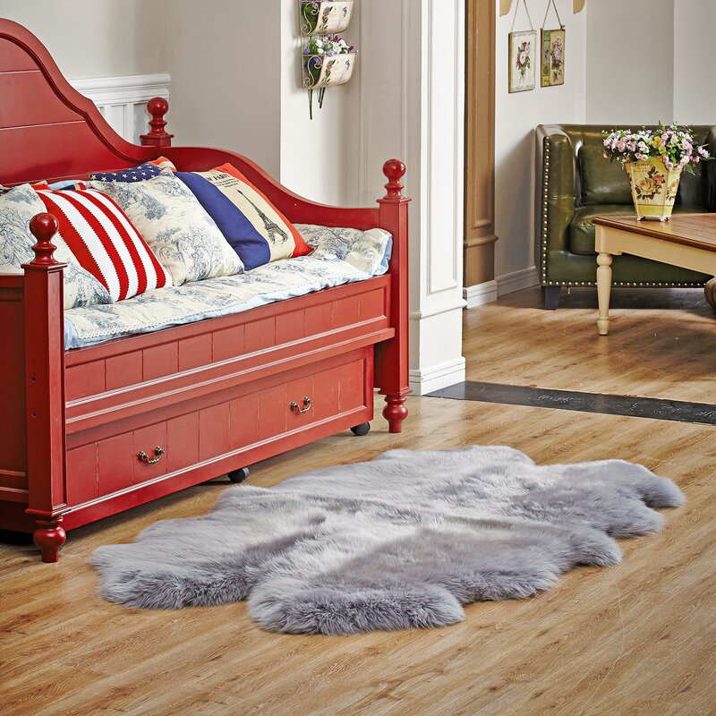 Leam Sheepskin Indoor Rug, Novelty 4' x 6'