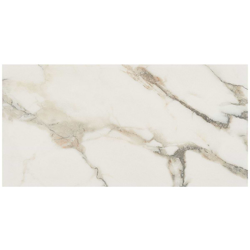 Dreamstone 12X24 Matte Porcelain Tile, Calacatta Rustico Matte